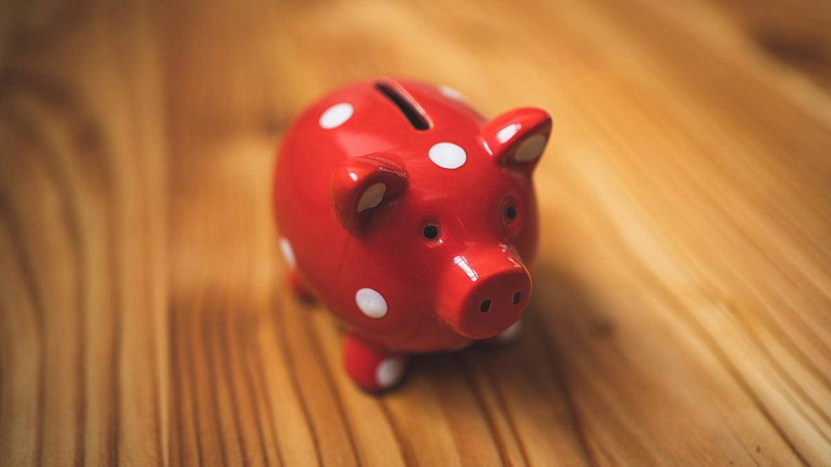 The Piggy Bank that Changes Lives